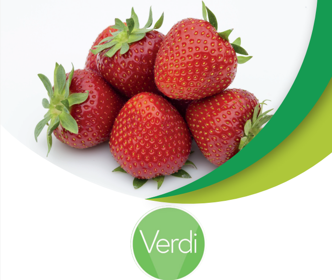 Verdi