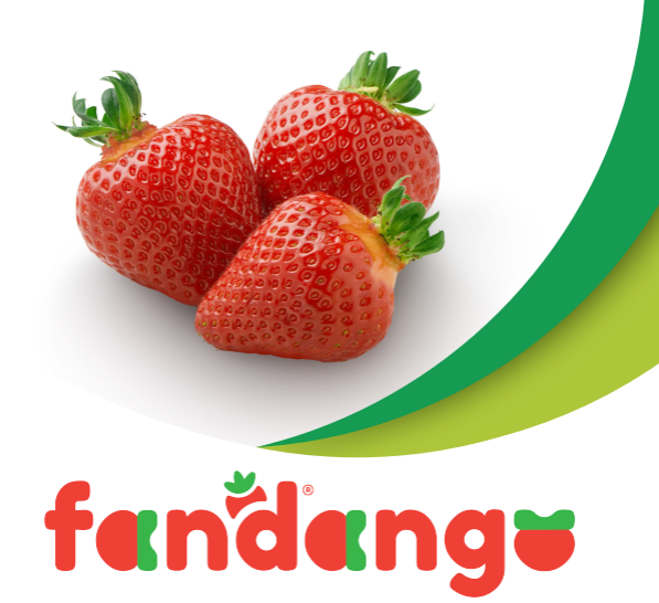 Fandango 
