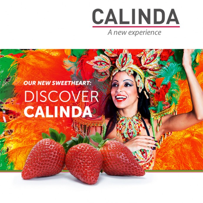 Calinda