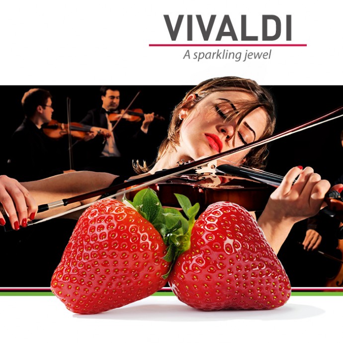 Vivaldi