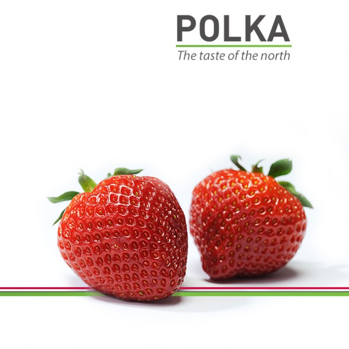 Polka