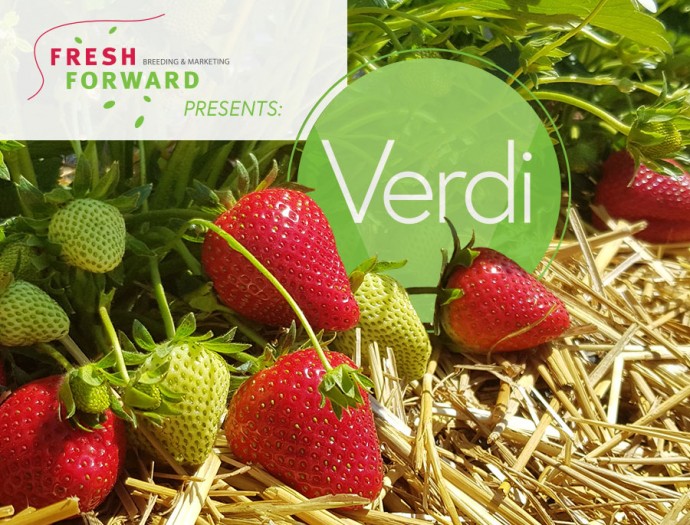 Fresh Forward presents: Verdi
