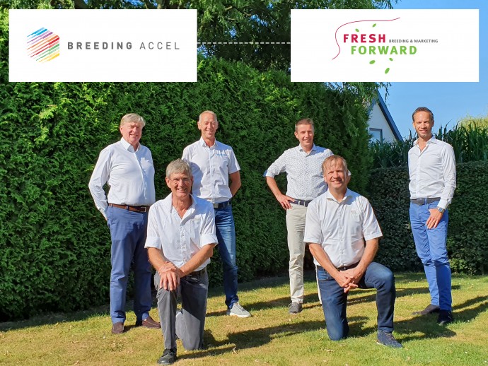 Fresh Forward Breeding sluit aan bij Breeding Accel